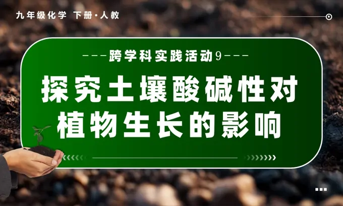 跨学科实践活动9 探究土壤酸碱性对植物生长的影响人教九年级化学下册PPT课件含教案