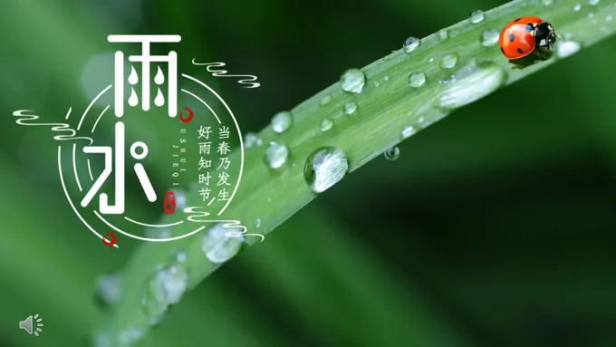 雨水节气介绍PPT模板
