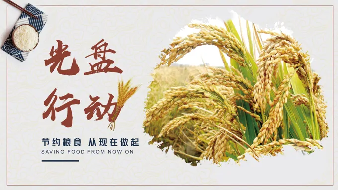 厉行节约光盘行动ppt