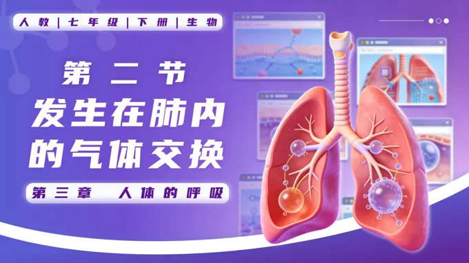 4.3.2 发生在肺内的气体交换七年级生物下册第四单元PPT课件（教案+导学案+分层作业）