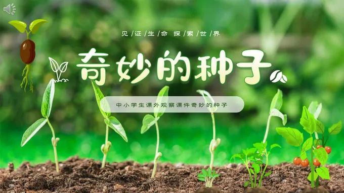 大班科学奇妙的种子ppt课件