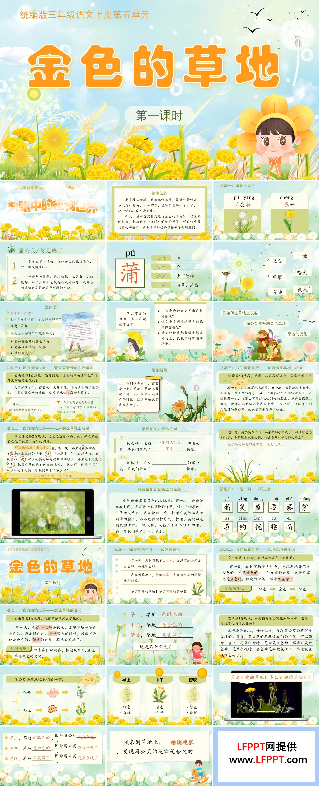 语文统编版三年级上册金色的草地PPT课件含教案