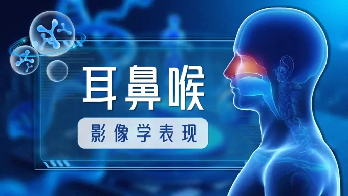 耳鼻喉在影像学的表现PPT含讲稿
