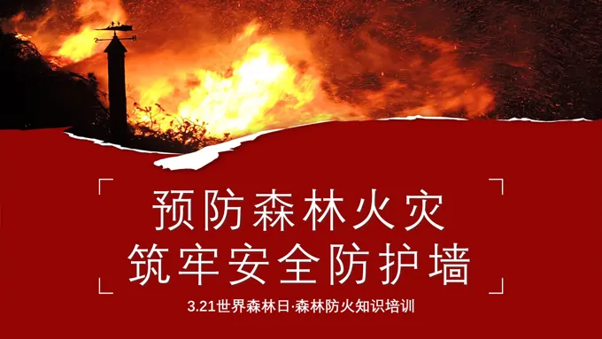 森林防火课件PPT世界森林日