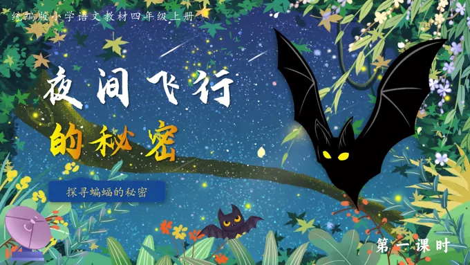 夜间飞行的秘密人教版四年级上册第二单元PPT课件含教案