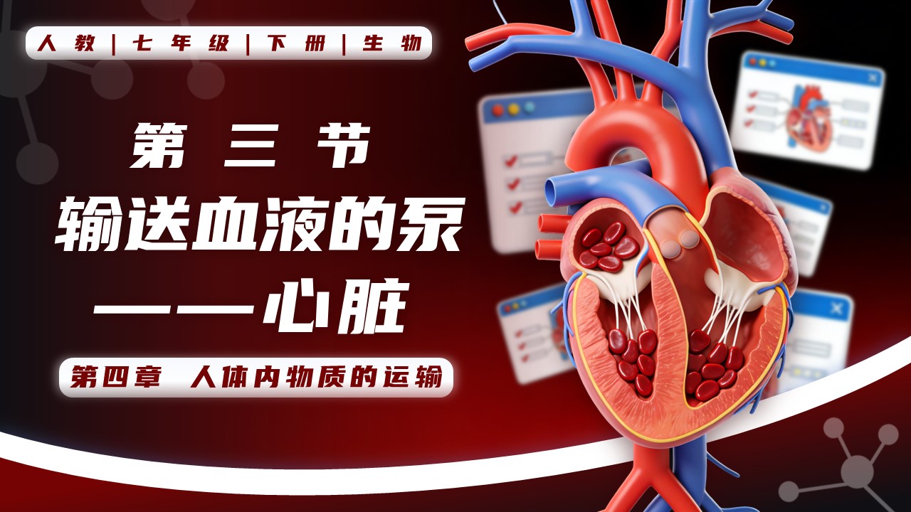 4.4.3 输送血液的泵——心脏七年级生物下册第四单元PPT课件（教案+导学案+分层作业）
