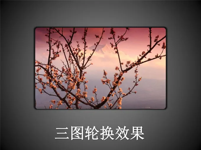 PPT中的图片处理合集