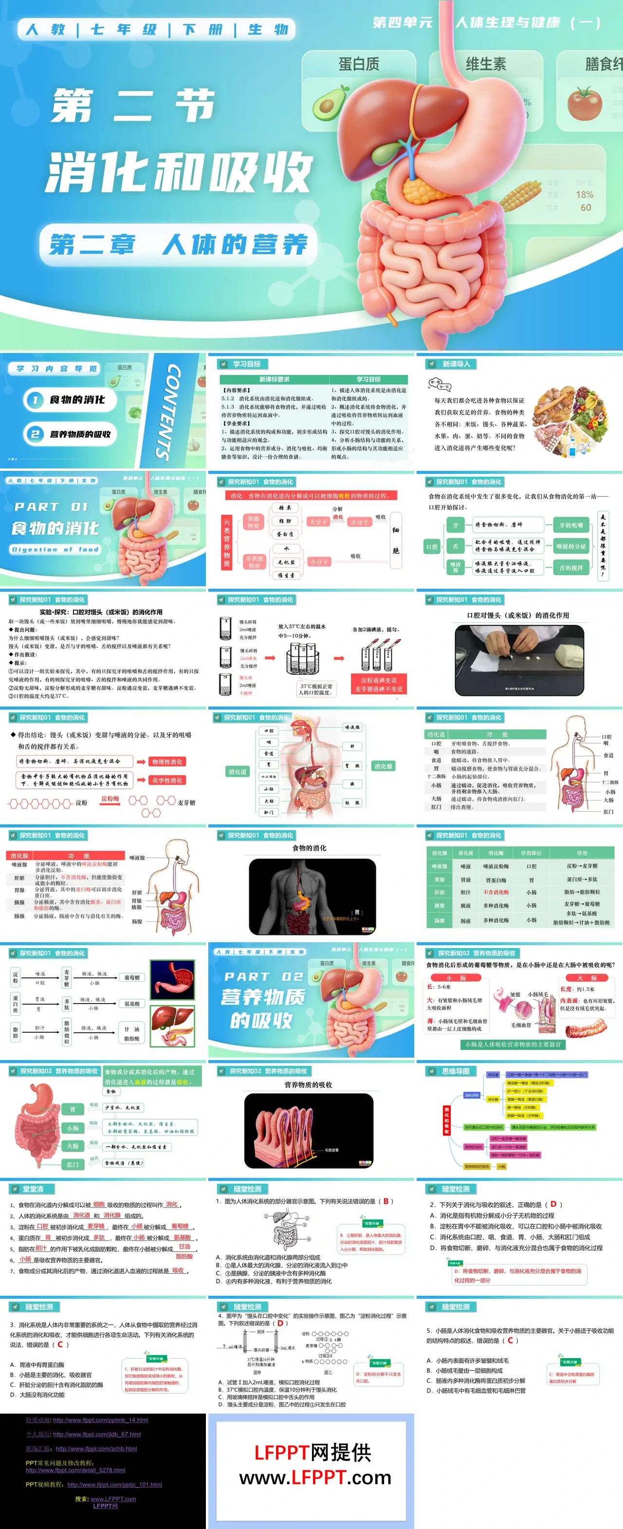 4.2.2 消化和吸收七年级生物下册第四单元PPT课件（教案+导学案+分层作业）