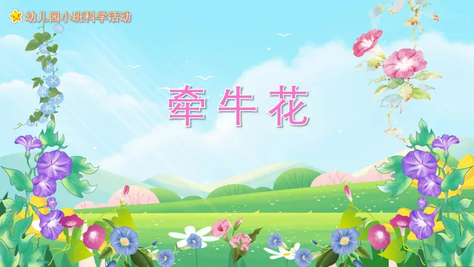 幼儿园教学课件科学教育《牵牛花》PPT课件