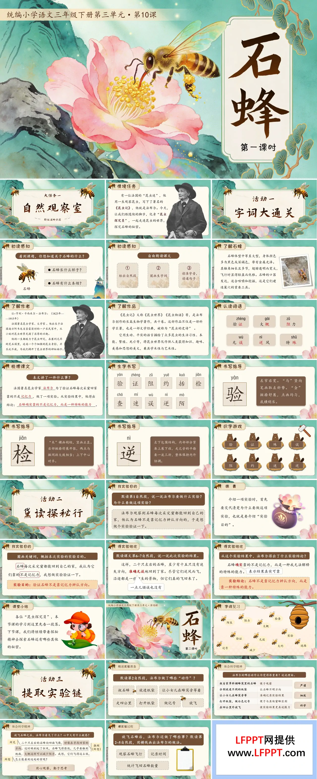 三年语文下册石蜂PPT课件含教案