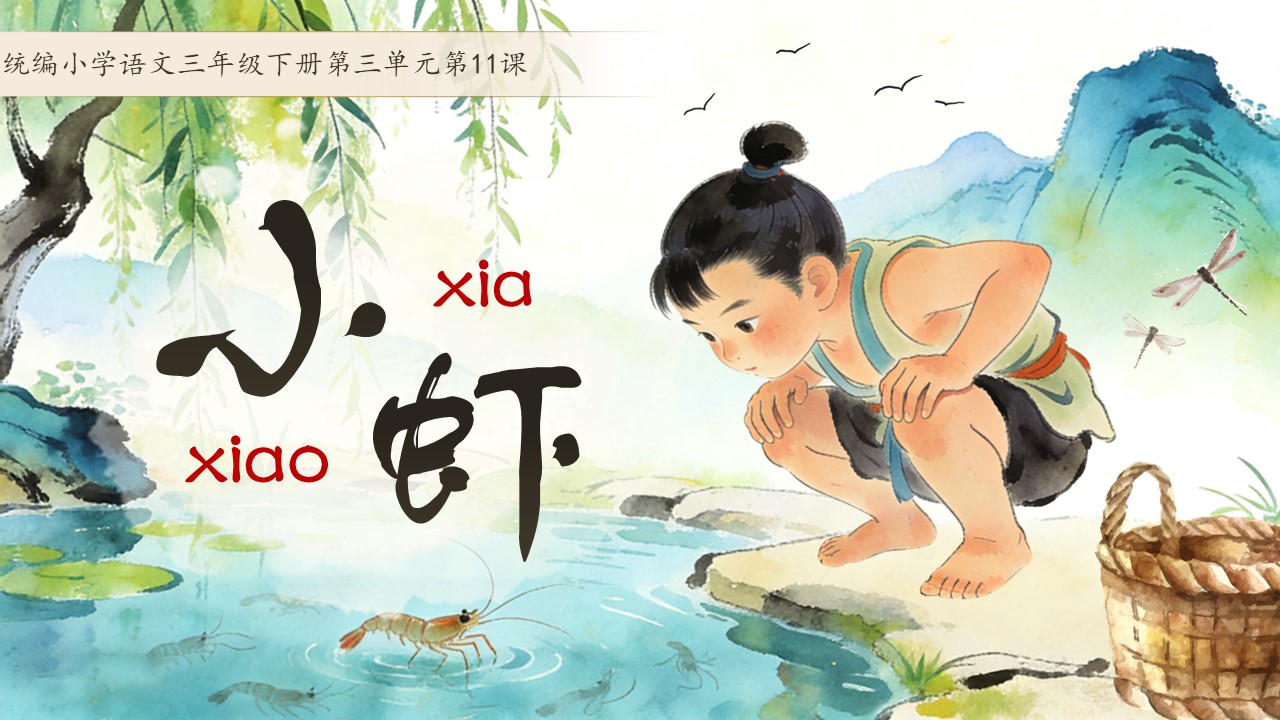 三年级语文下册小虾PPT课件含教案