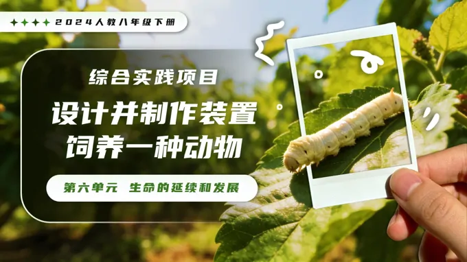 综合实践项目 设计并制作装置，饲养一种动物新教材人教八年级生物下册第1章PPT课件（含教案）