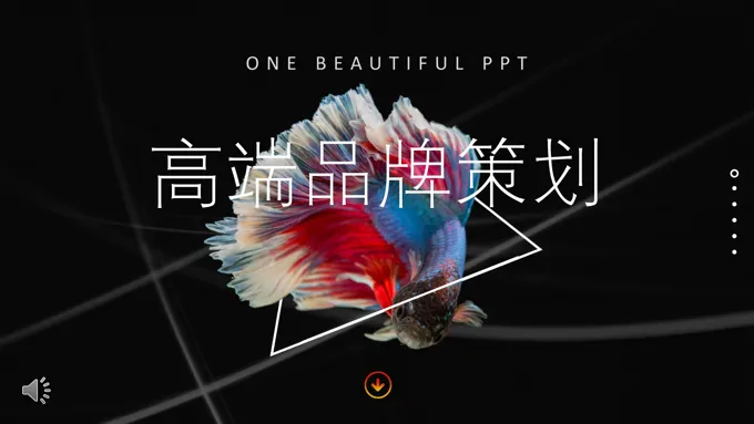 欧美风格高端品牌营销策划PPT模板