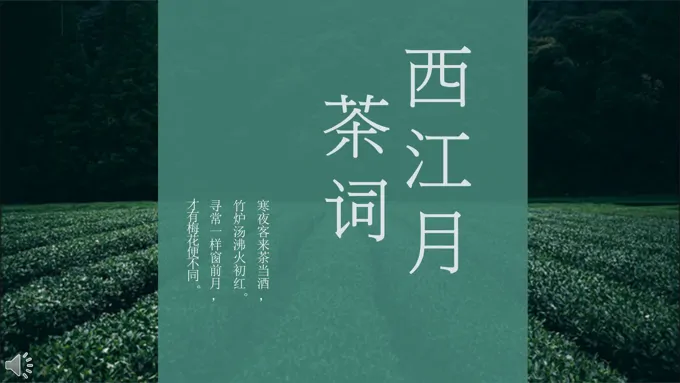 品茶人生感悟生命之茶文化