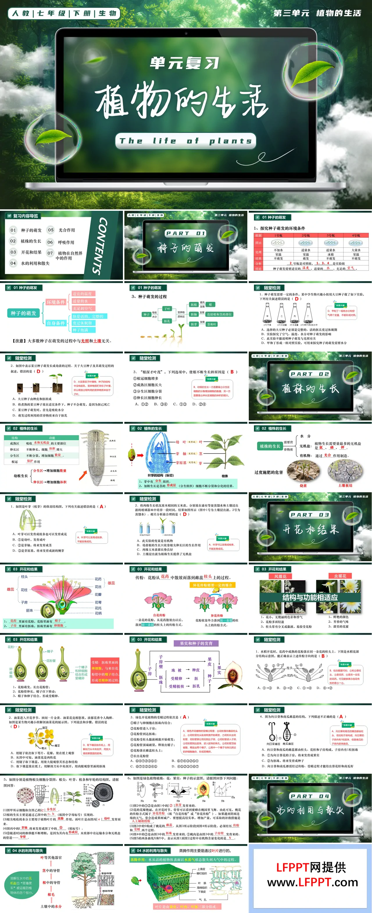 第三单元 植物的生活单元复习七年级生物下册第三单元PPT课件（知识清单+单元测试卷）
