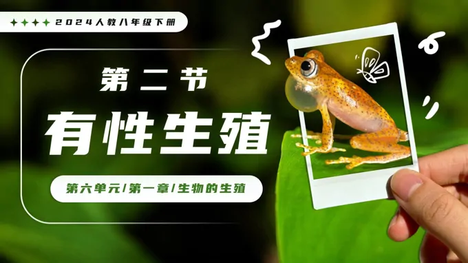 6.1.2 有性生殖新教材人教八年级生物下册第1章PPT课件（含教案+导学案+提升讲义+分层作业）