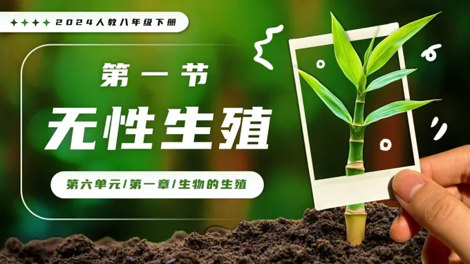 6.1.1 无性生殖新教材人教八年级生物下册第1章PPT课件（含教案+导学案+提升讲义+分层作业）