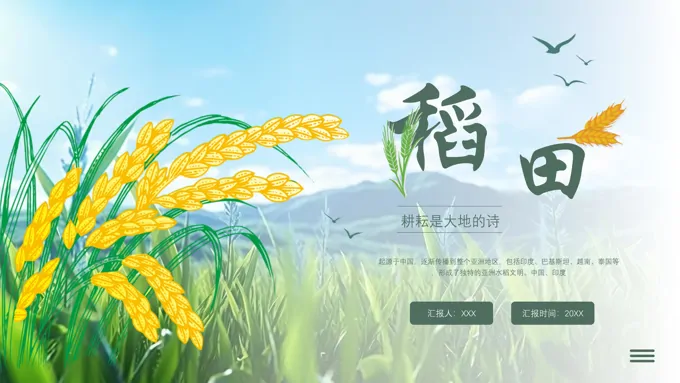 农业水稻稻田介绍PPT课件
