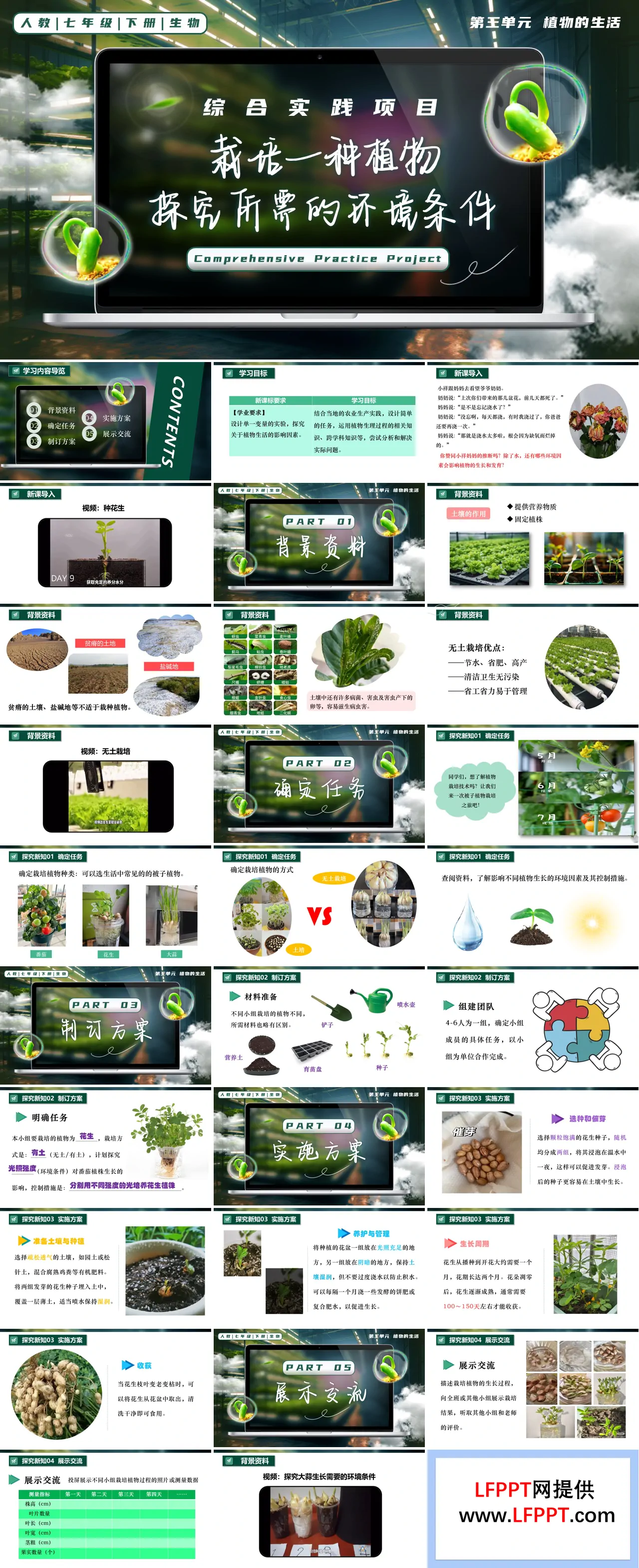 综合实践项目 栽培一种植物，探究所需的环境条件七年级生物下册第三单元PPT课件（教案+导学案+分层作业）