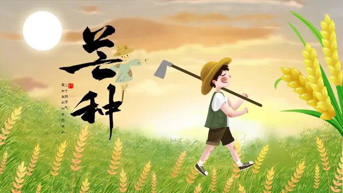 芒种芒种ppt模板