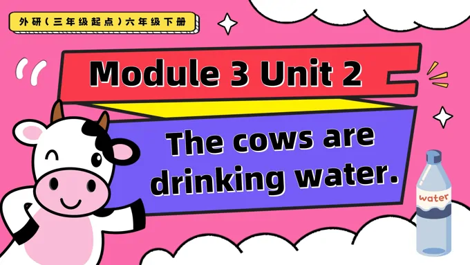 Module3 Unit2 The cows are drinking water外研三年级起点六年级下册PPT课件含教案