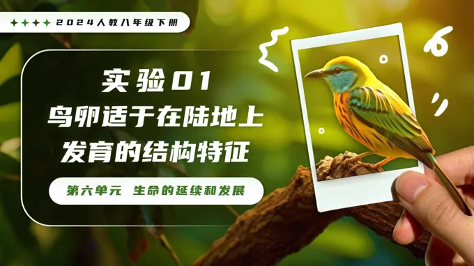 实验01 鸟卵适于在陆地上发育的结构特征新教材人教八年级生物下册第1章PPT课件（含讲义+实验报告单）