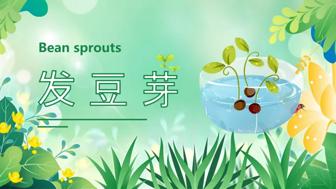 发豆芽PPT课件(内嵌视频)