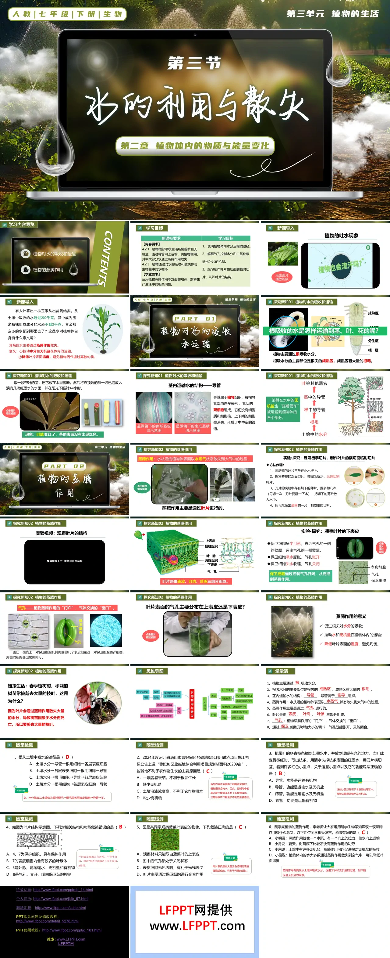 3.2.1 水的利用与散失七年级生物下册第三单元PPT课件（教案+导学案+分层作业）