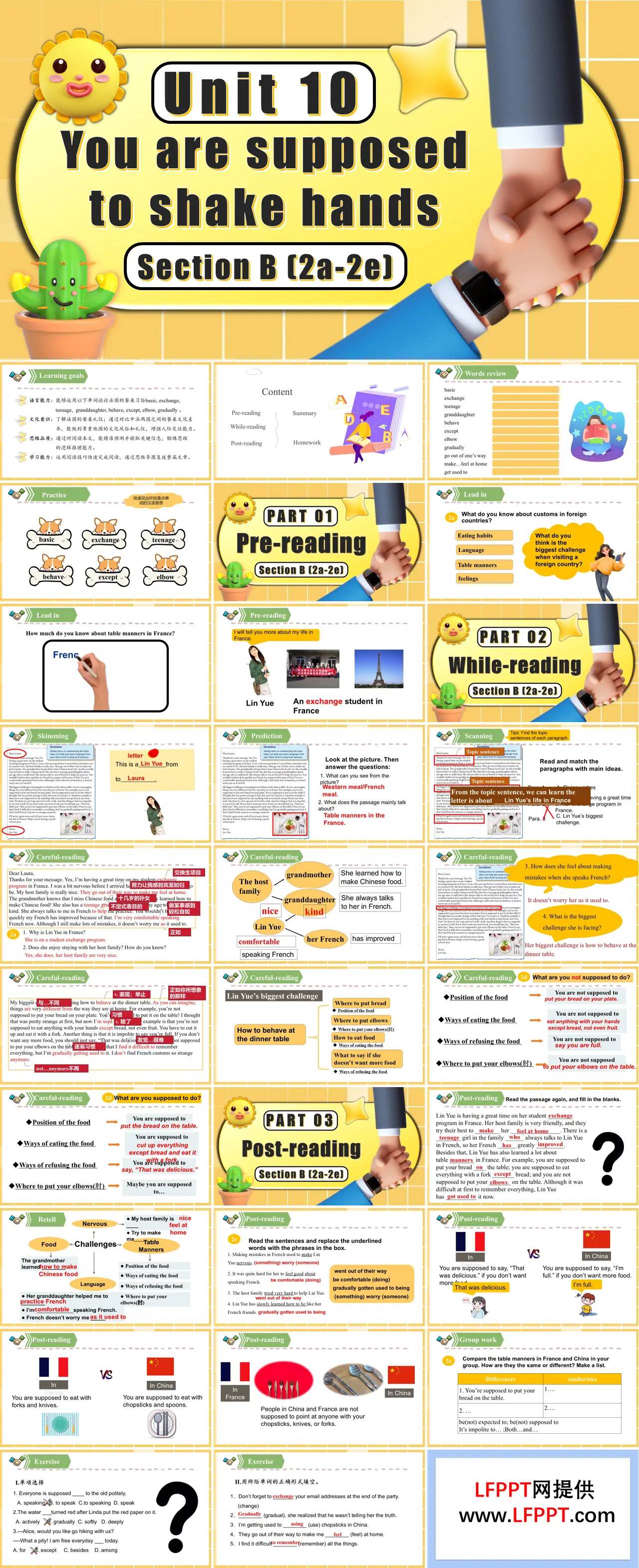 Unit 10 第5课时 Section B 2a 2e 九年级英语全一册PPT课件含教案